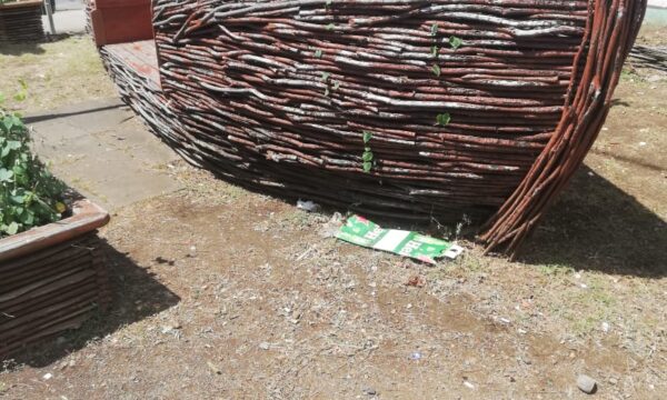 WhatsApp Image 2025-05-26 at 15.29.25